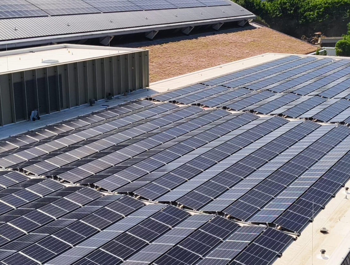 Tongelreep3 Tongelreep3