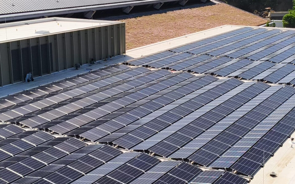 Tongelreep3 Tongelreep3